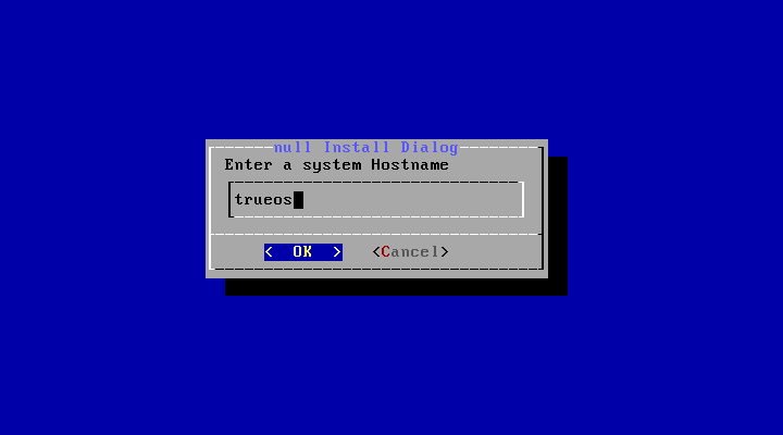 安裝 TrueOS 的流程：輸入 hostname